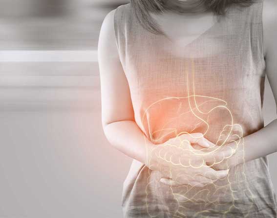 Magen, Darm & Verdauung