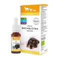 BACHBLÜTEN Tiere Tropfen Erste Hilfe