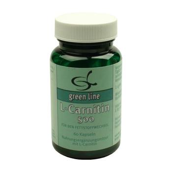 L-CARNITIN 500 Kapseln