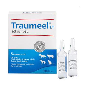 TRAUMEEL LT ad us.vet.Ampullen