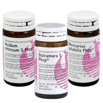 Phönix Aufbaukonzept